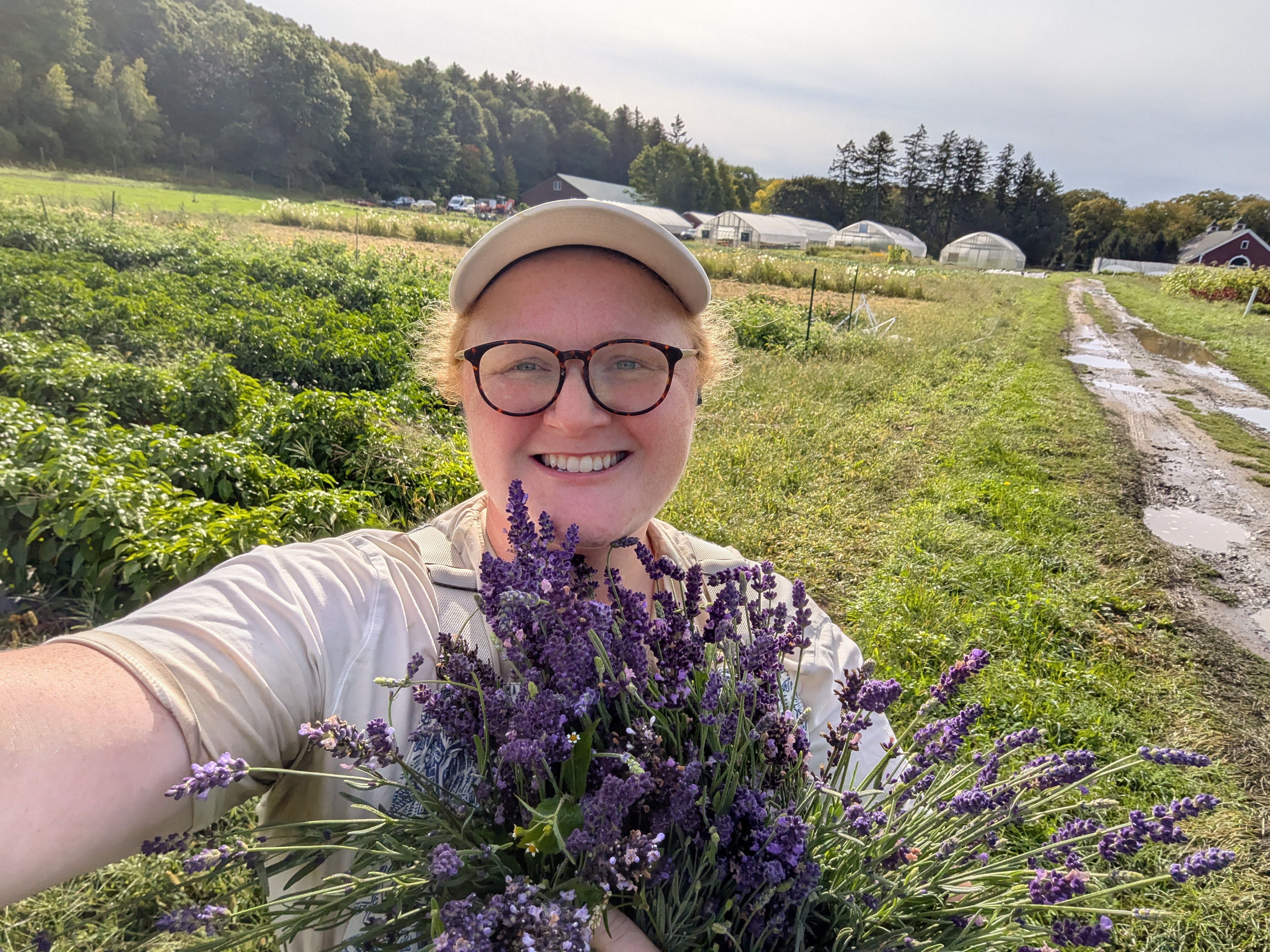Laura at Strawberry Dog Farm